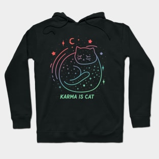 Karma Is A Cat Hoodie